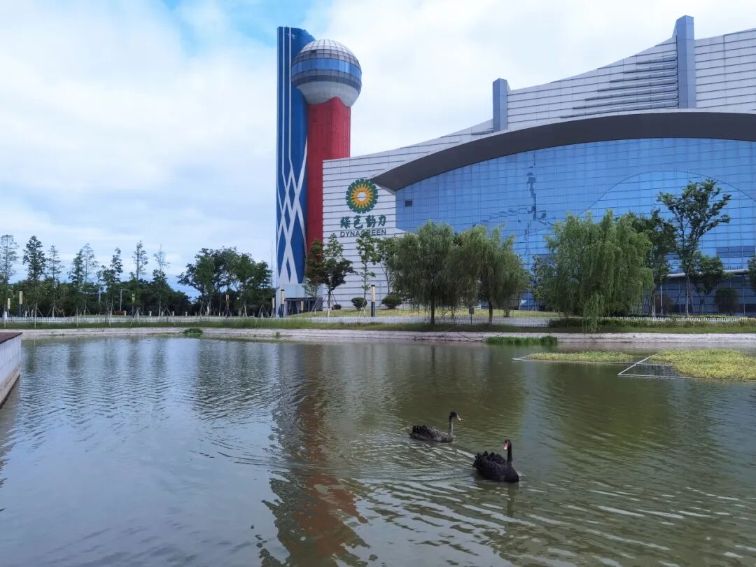 ������ʱ���Ż�������10��Ԫ����Ʊ�� �����������ؿ�