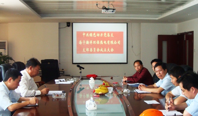 ������Ŀ��˾��֧����ʽ����