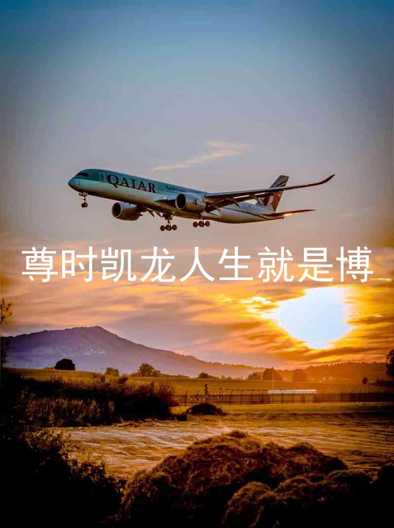 尊时凯龙人生就是博